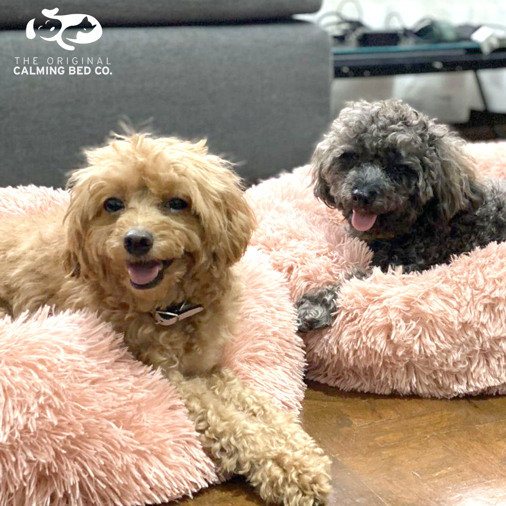 The Original Calming Bed The Calming Bed Co.