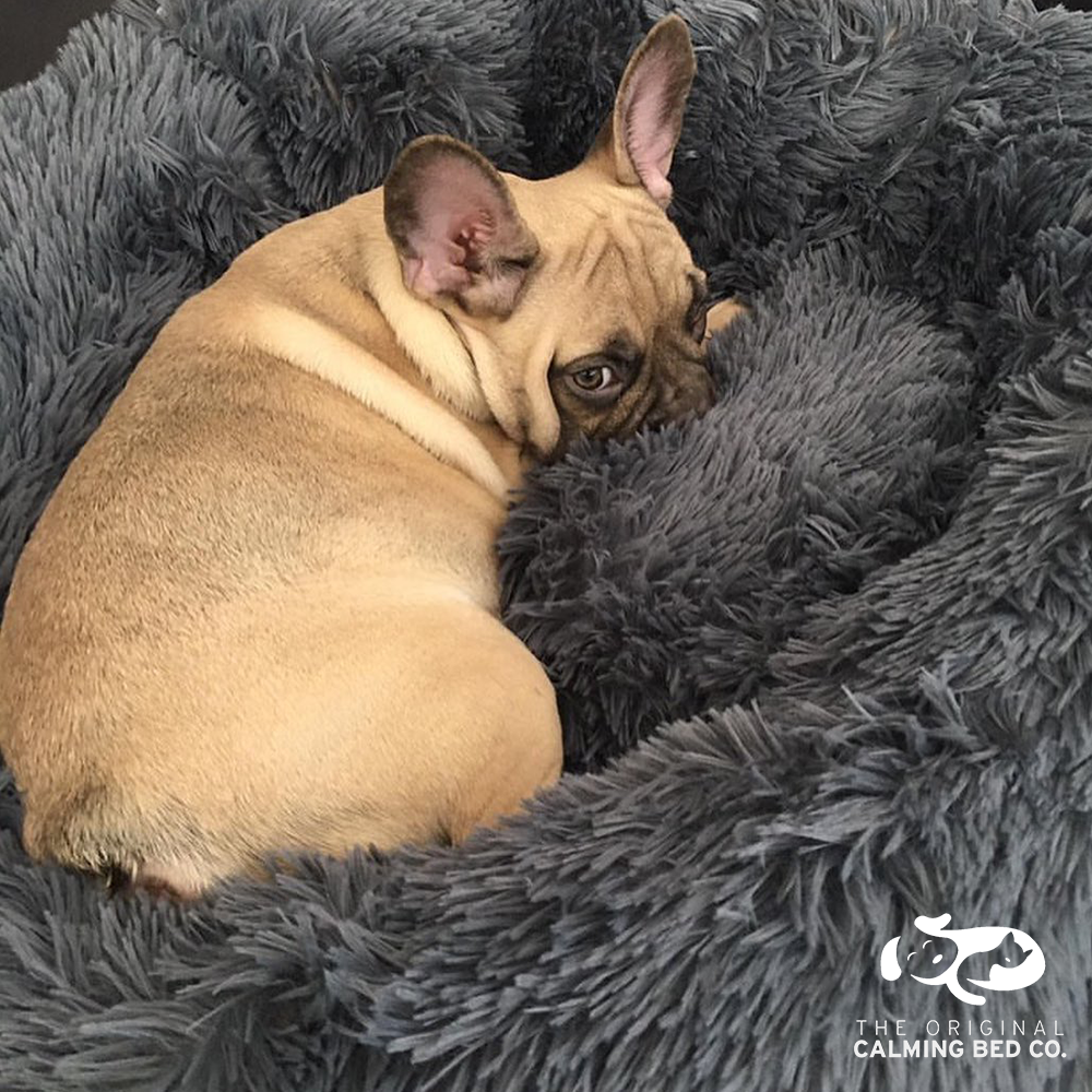 The Original Calming Bed The Calming Bed Co.